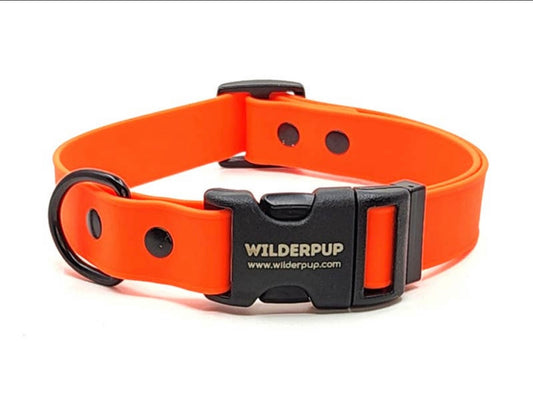 Biothane Waterproof Collar - Orange