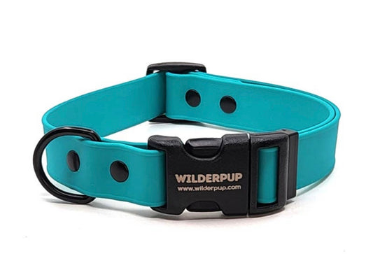 Biothane Waterproof Collar - Teal