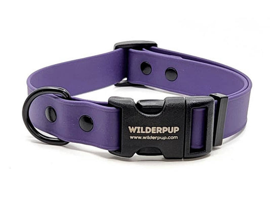 Biothane Waterproof Collar - Violet