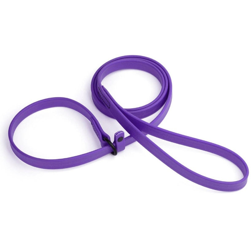 Biothane Slip Lead - Purple