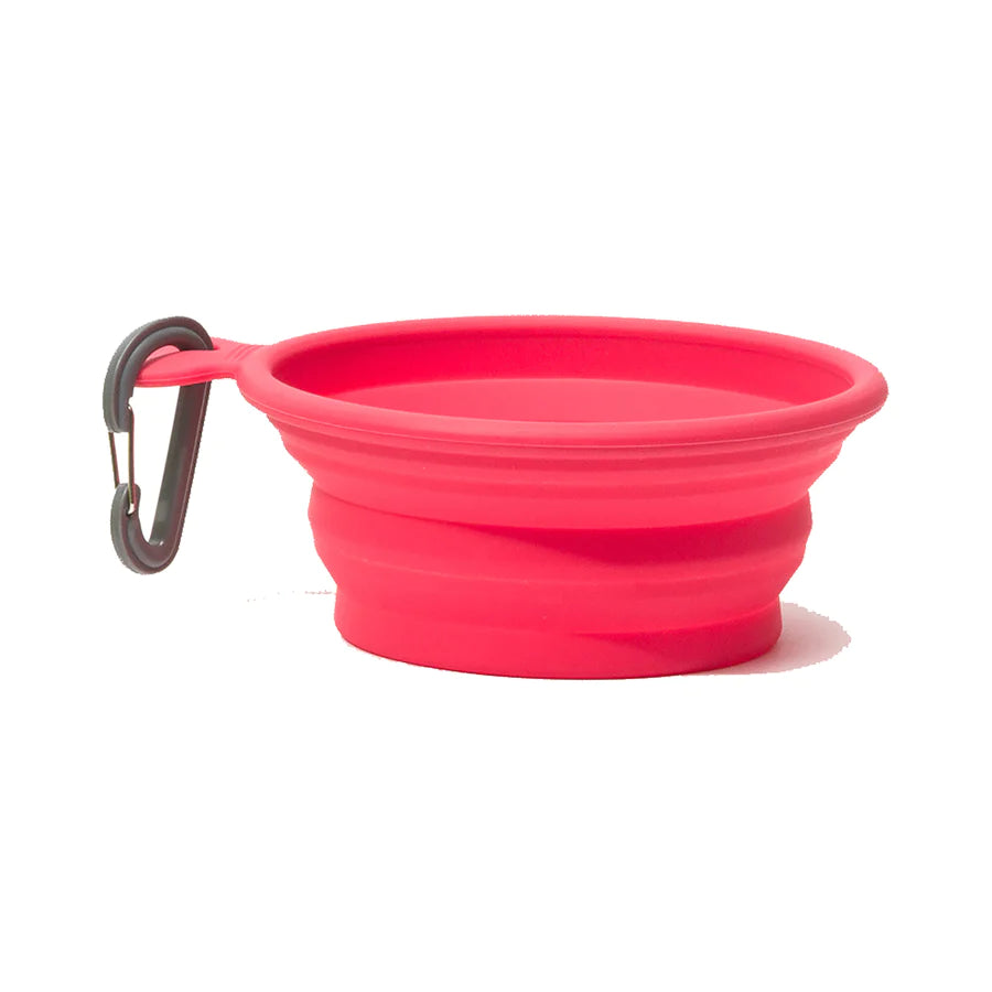 Collapsible Dog Bowl - Watermelon